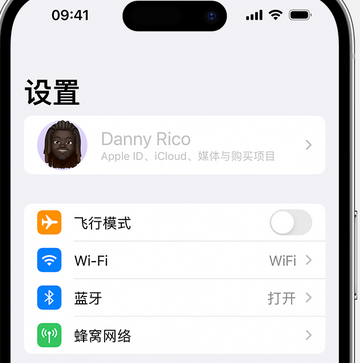 衡南appleID维修服务iPhone设置中Apple ID显示为灰色无法使用 