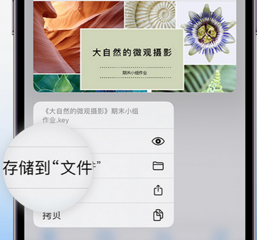 衡南apple维修中心分享iPhone文件应用中存储和找到下载文件