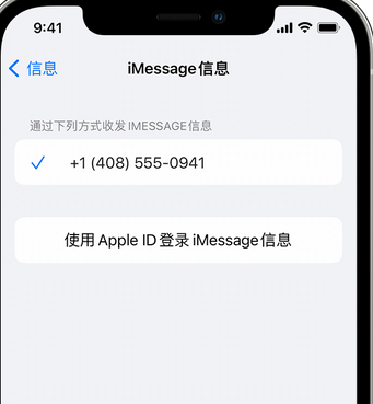 衡南apple维修iPhone上无法正常发送iMessage信息 