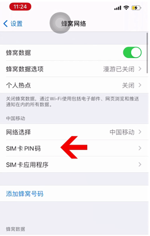 衡南苹果14维修网分享如何给iPhone14的SIM卡设置密码 