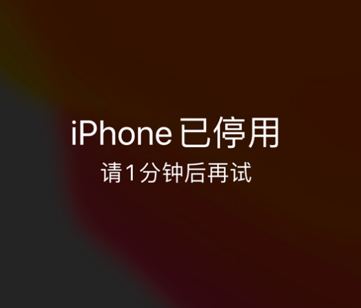 衡南苹果手机维修分享:iPhone 显示“不可用”或“已停用”怎么办？还能保留数据吗？ 