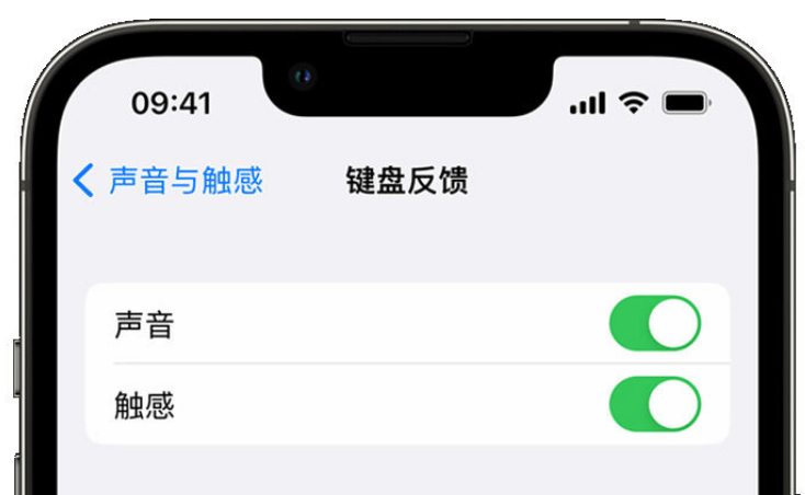 衡南苹果手机维修分享iPhone 14触感键盘使用方法 