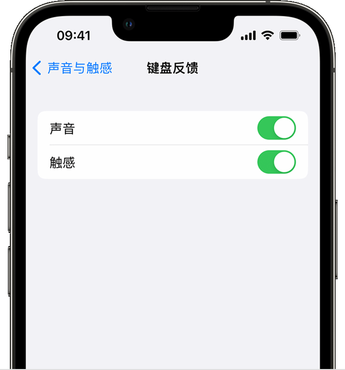 衡南苹果14维修店分享如何在 iPhone 14 机型中使用触感键盘 