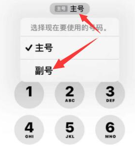 衡南苹果14维修店分享iPhone 14 Pro Max使用副卡打电话的方法 