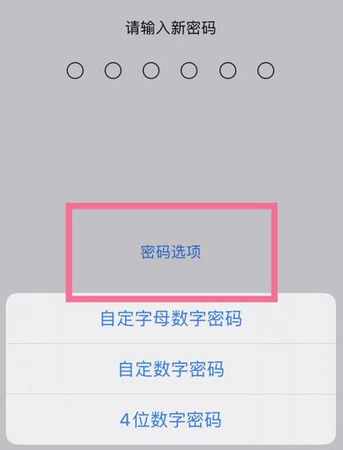 衡南苹果14维修分享iPhone 14plus设置密码的方法 