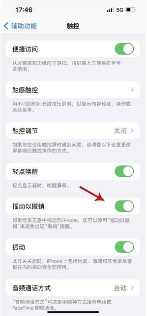 衡南苹果手机维修分享iPhone手机如何设置摇一摇删除文字 
