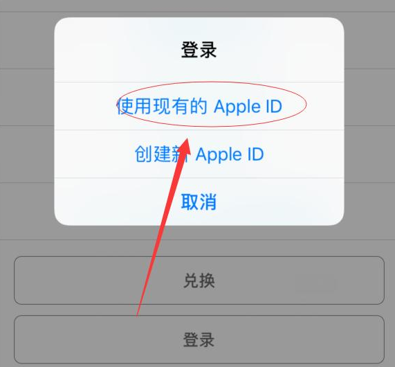 衡南苹果手机维修分享两台iPhone设备可以同时登录一个Apple ID吗 