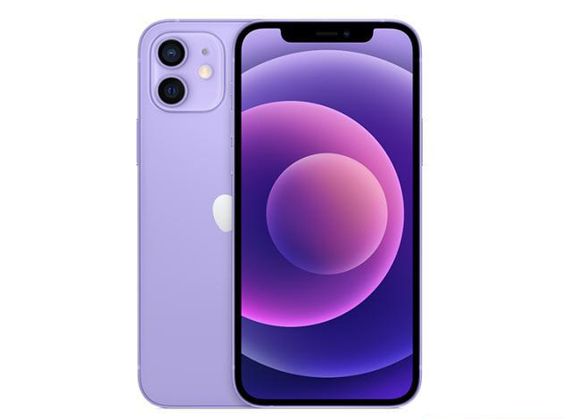 衡南苹果手机维修分享现阶段要不要入手紫色版iPhone12 