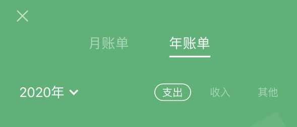 衡南苹果手机维修分享如何在 iPhone 上查看支付宝和微信年支出账单 