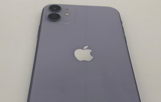 衡南苹果11系统维修分享iPhone11手机系统崩溃无法开机如何解决 